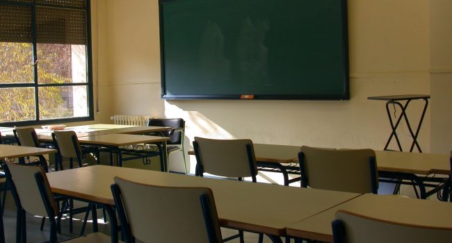 profesorado