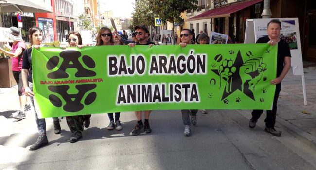 Foto: Bajo Aragón Animalista