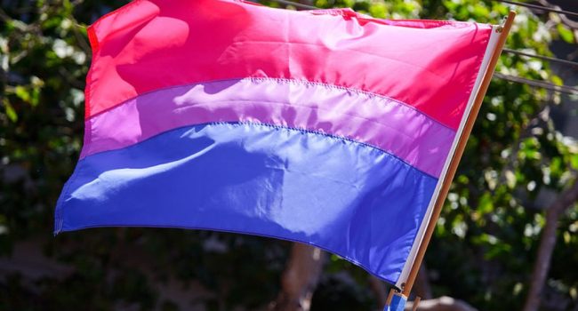 bandera bisexual