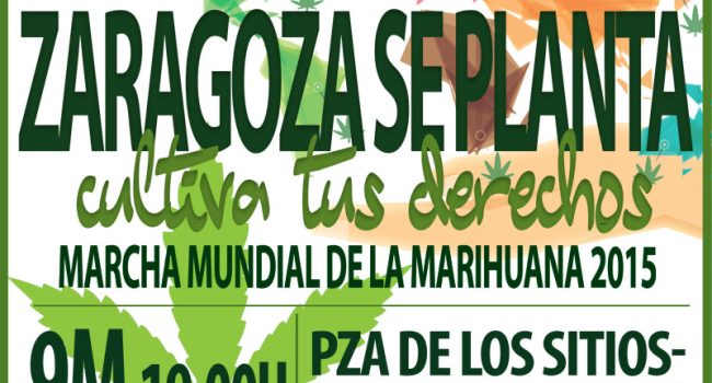 banner 800x667