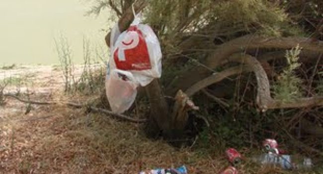 basurautebo