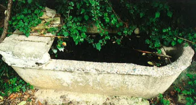 Inauguración de la exposición “Naturaleza mágica. Fuentes curativas de Zaragoza”