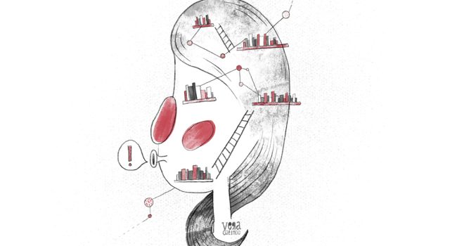 Ilustración: Vera Galindo