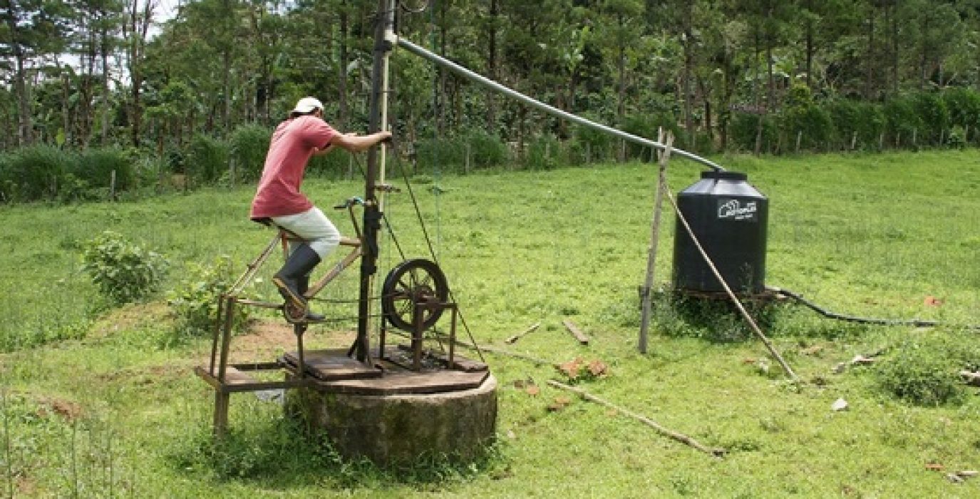 Foto: Venivé