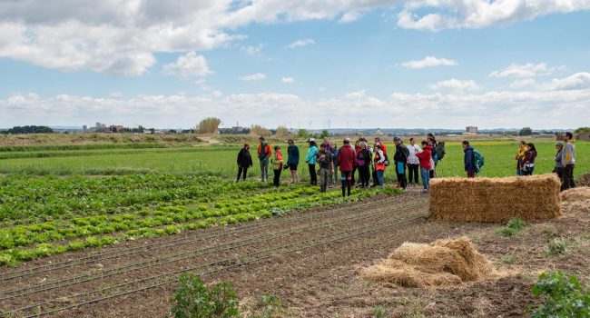 Las participantes visitaron Huerto Natural, gestionado por Sebastien Debono.