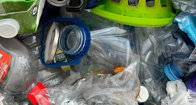 Envases en el interior de un contenedor de reciclaje. | Foto: stopplastico.org
