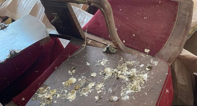 Así se encuentran las antiguas butacas del Teatro Principal. Foto: Zaragoza en Común.