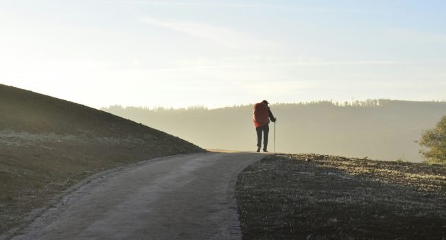Foto: Jorge Luis Ojeda / Unsplash