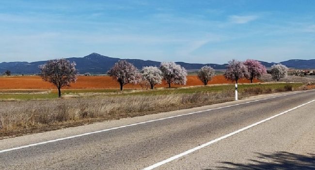 Forestalia proyecta otra macrocentral fotovoltaica: más de 1.000 ha, dos subestaciones y una línea de alta tensión de 28 km en Campo Romanos