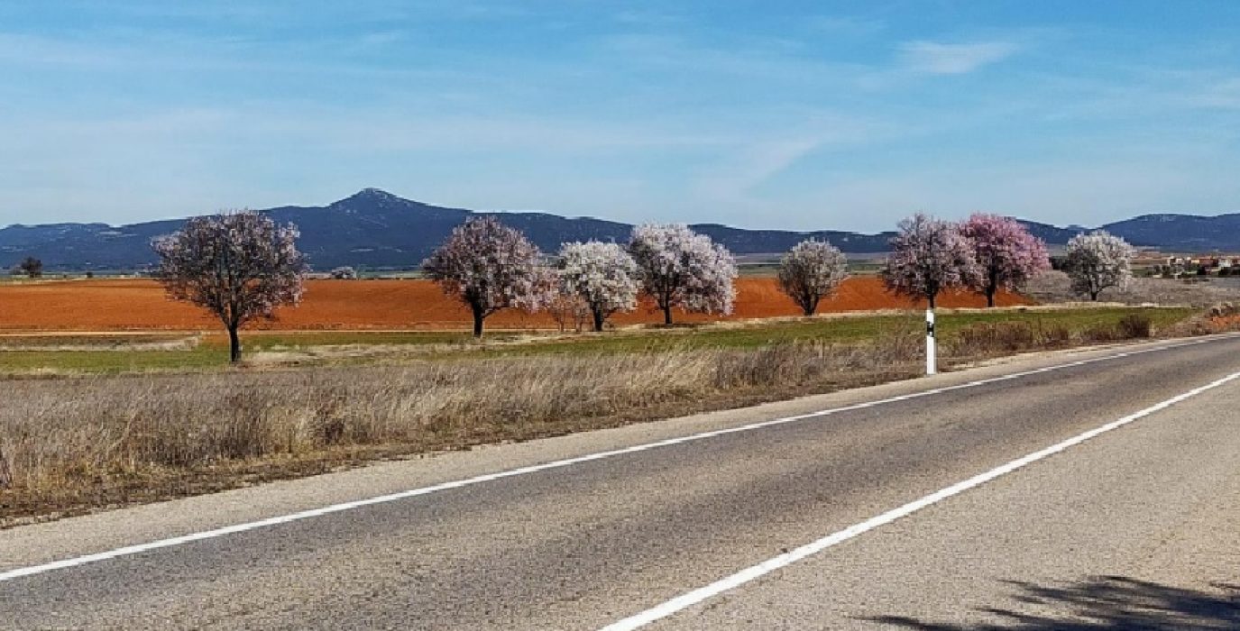Forestalia proyecta otra macrocentral fotovoltaica: más de 1.000 ha, dos subestaciones y una línea de alta tensión de 28 km en Campo Romanos