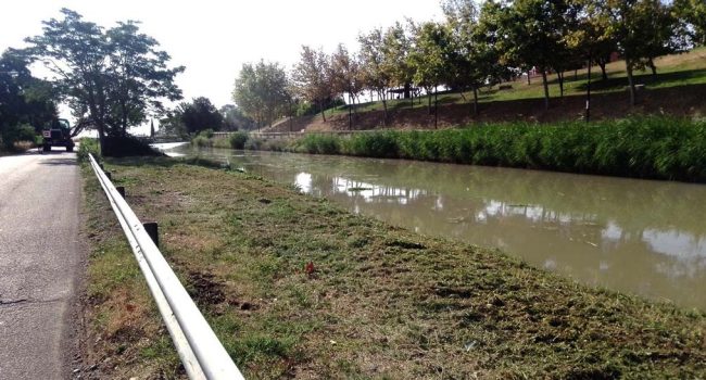Las orillas del canal después de la actuación denunciada por las entidades ecologistas. | Foto: Ecologistas en Acción Zaragoza