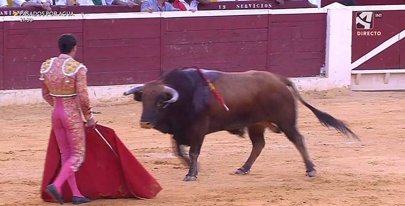 Captura de una emisión de una corrida de toros en Aragón TV