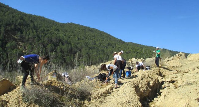 Foto: Asociación Gabardiella