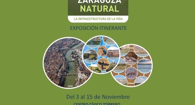 cartel_expo_zn_torrero2