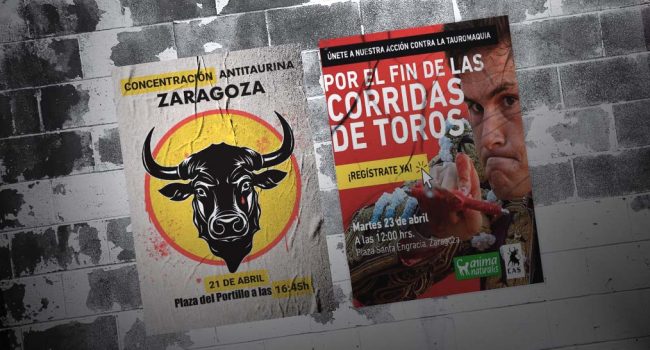 Recreación de los carteles de las convocatorias pegados en una pared. | Foto: AraInfo