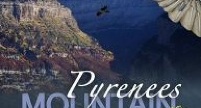 carátula del documental publicitario