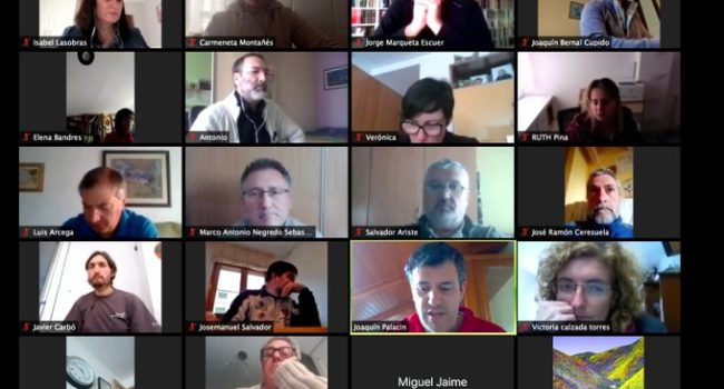 Reunión de CHA por videoconferencia.