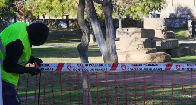 Imagen de archivo del cierre que ya sufrió el parque en diciembre de 2025. | Foto: Ayuntamiento de Zaragoza