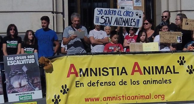 circo con animales