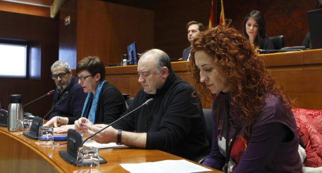 Anadón durante su comparecencia en las Cortes. Foto: Cortes