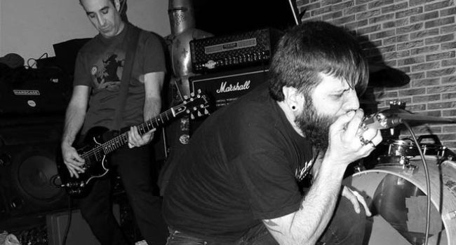 Foto: Control de Plagas