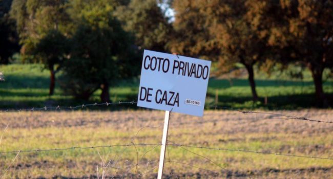 caza osa