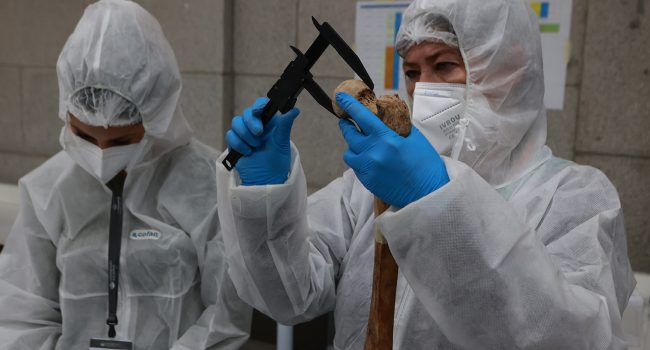 Trabajos científicos para identificar a las víctimas de Cuelgamuros | Foto: @ Cipri Pastrano