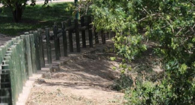 Denuncian ante la Fiscalía de Medio Ambiente la “continua destrucción de las riberas de los ríos y del Canal Imperial de Aragón” en Zaragoza