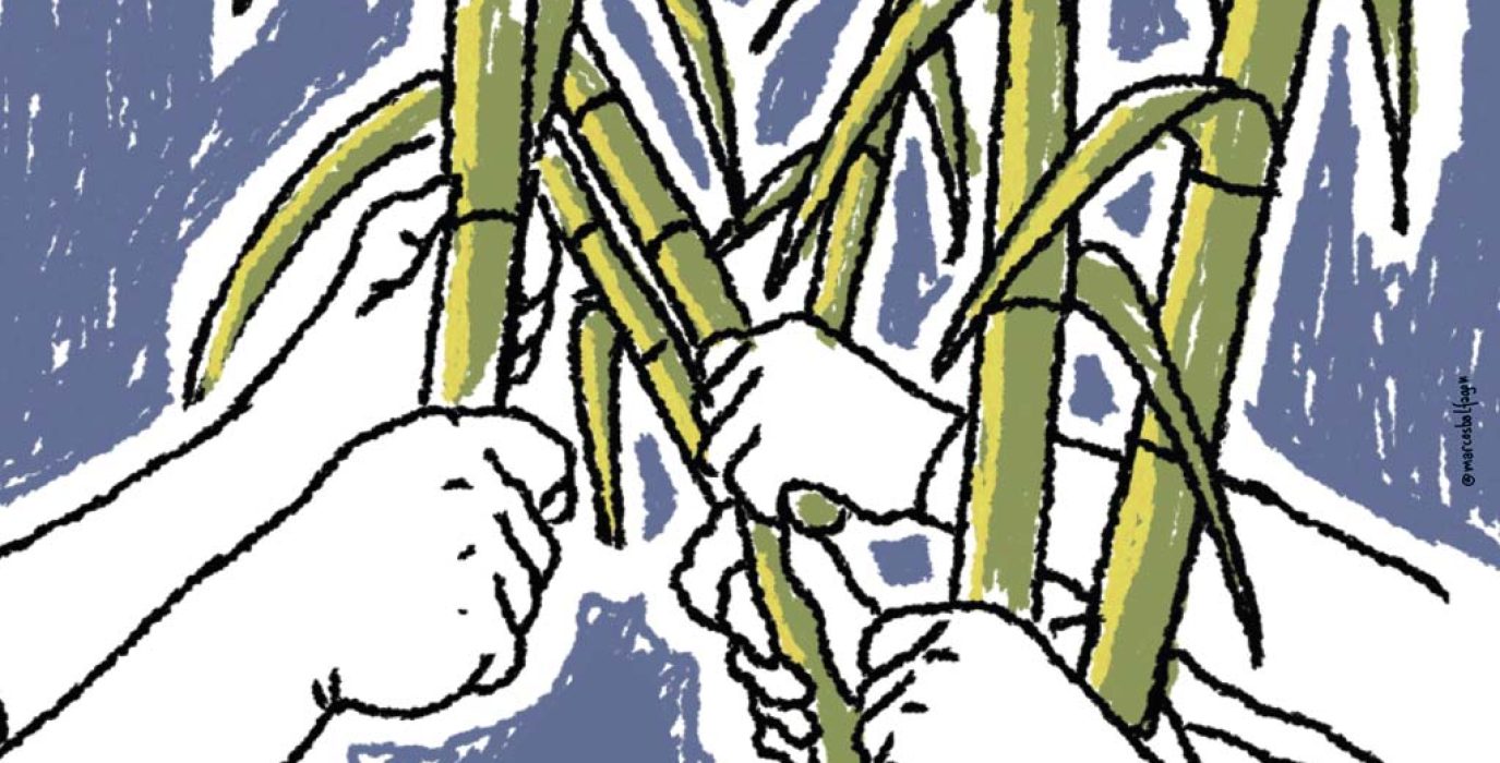 Detalle de la ilustración del cartel de Cañarte 2026