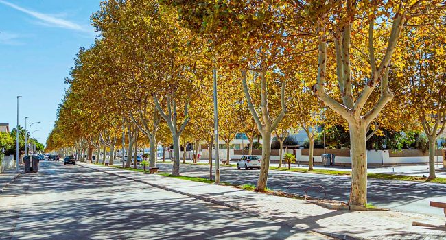 Foto: Santiago Manuel De la Colina, Pexels