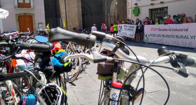Foto: @Ecologistas