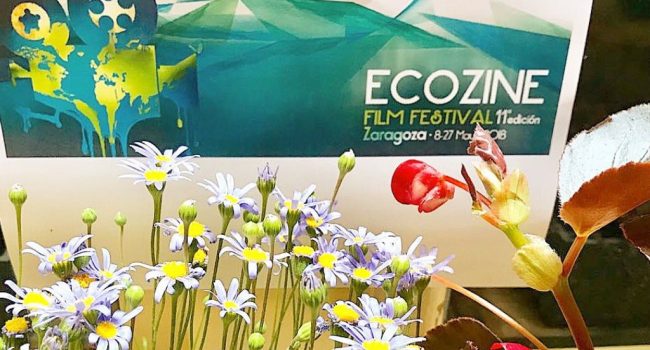 Foto: Ecozine