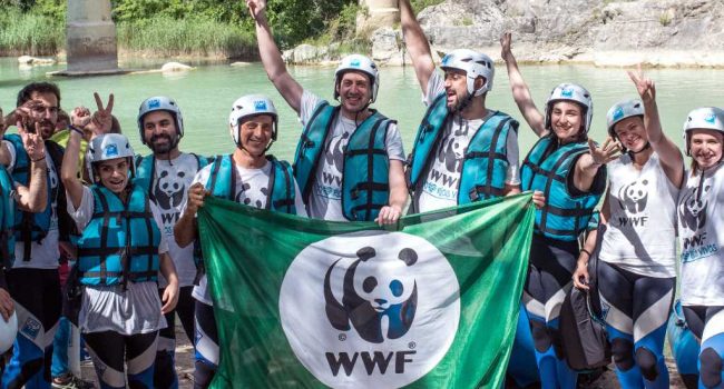 Foto: WWF BigJump 2018