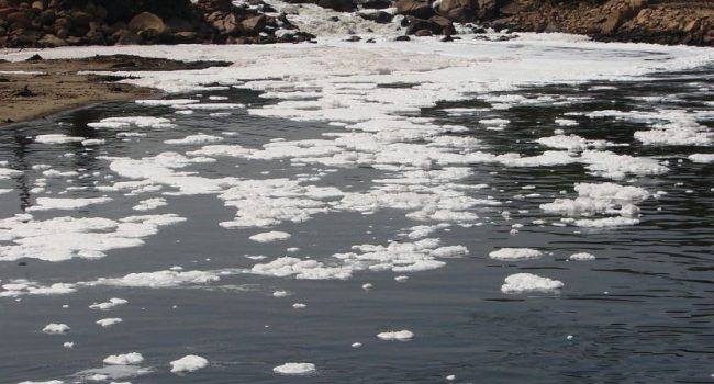 Contaminantes emergentes. Foto: Iagua.