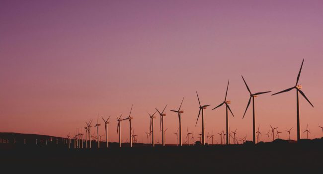 Foto: Narcisa Aciko / Pexels