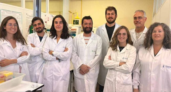 De izquierda a derecha: Silvia Calvo, Miguel Araujo, Marta Casal, Nacho Aguiló, Eduardo Moreo, Claudia Guerrero, Santiago Uranga y Ana Belén Gómez