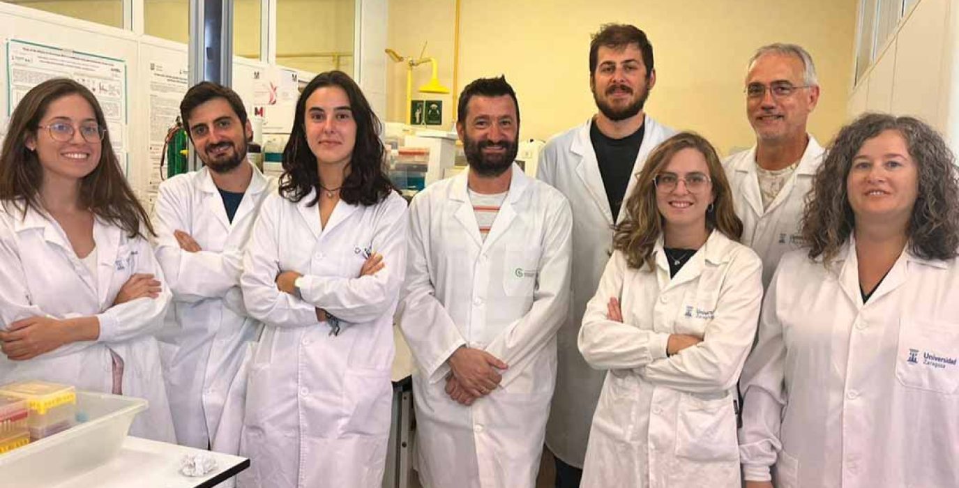 De izquierda a derecha: Silvia Calvo, Miguel Araujo, Marta Casal, Nacho Aguiló, Eduardo Moreo, Claudia Guerrero, Santiago Uranga y Ana Belén Gómez