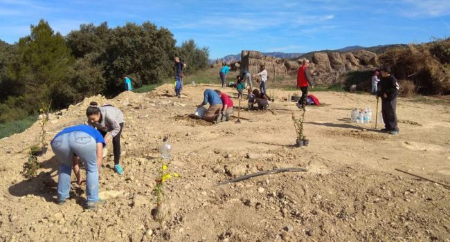 Foto: Ecologistas en Acción