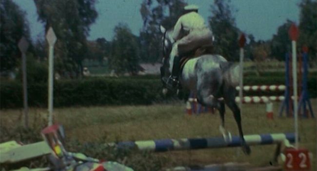 un hombre a caballo salud mental