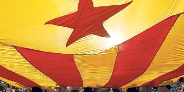 estelada cup