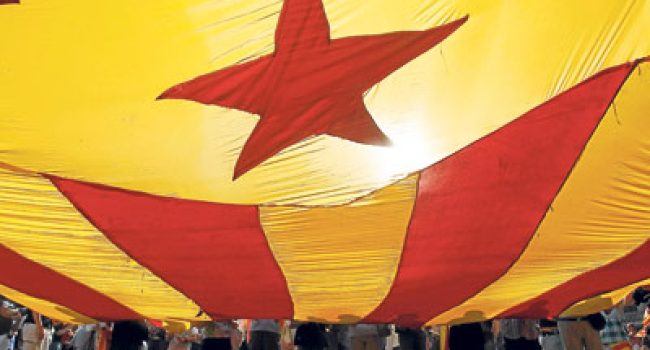 estelada cup