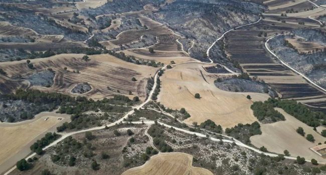 Foto: Gobierno de Aragón.