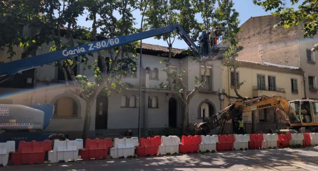 Tala de árboles en la calle José Gil Cávez. | Foto: Plataforma Árboles Vivos Huesca