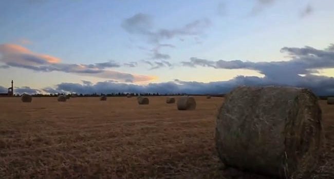 Fotograma del documental 'Stop al expolio de los bienes comunales' del 15M Leon y la plataforma Omaña
