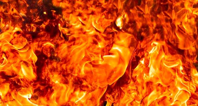 fuego-2256