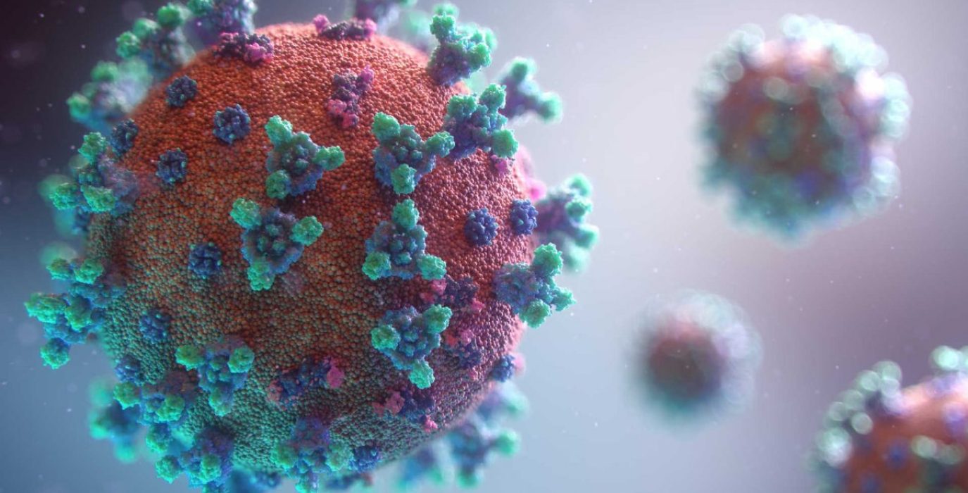 Imagen: Fusion Medical Animation (Unsplash).