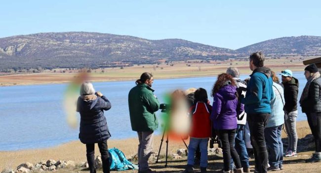 Una de las visitas guiadas para ver las grullas de Gallocanta. | Foto: Aragón Hoy