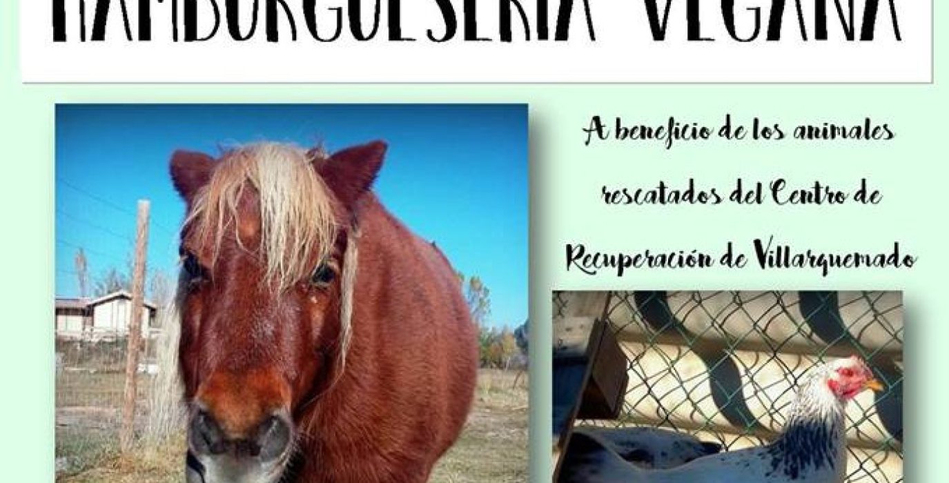 hamburgueseria vegana