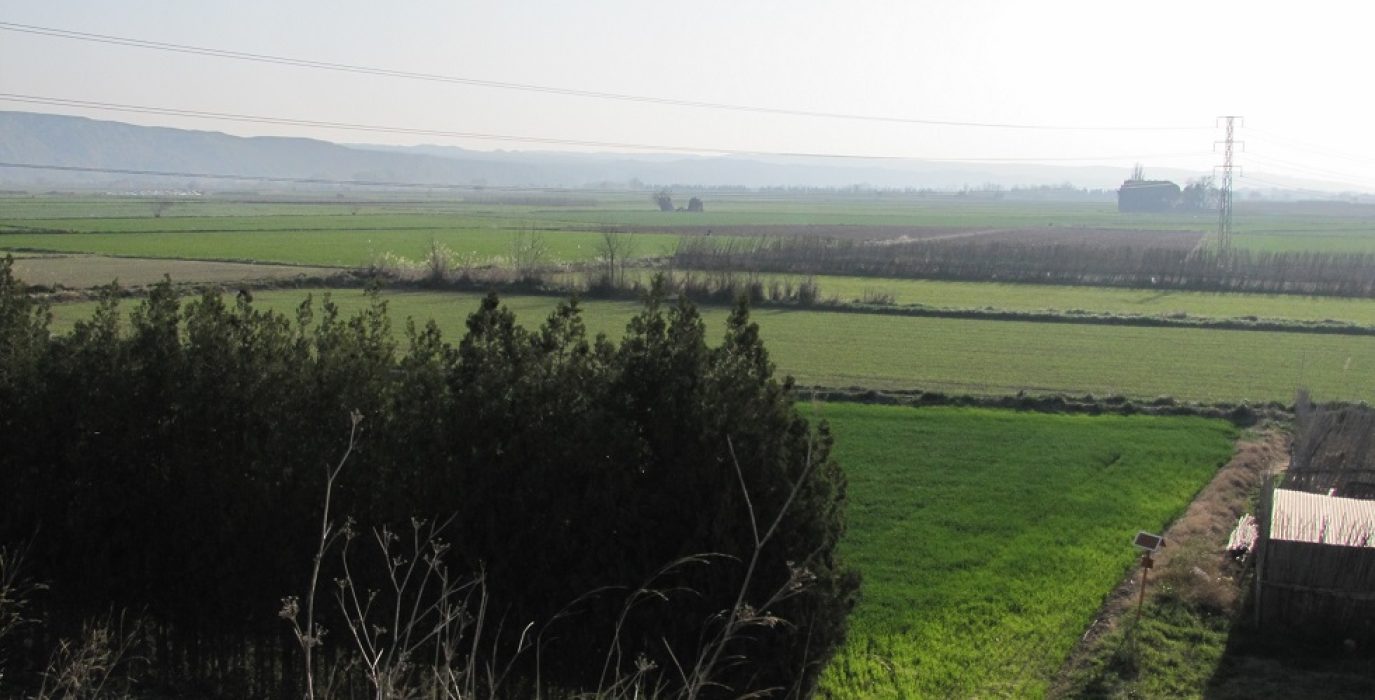 Huerta en Utebo