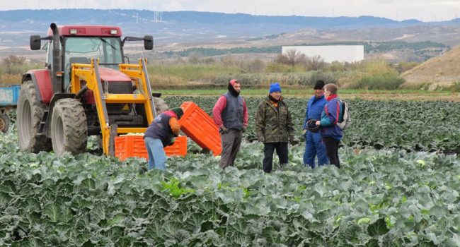 Foto: Plataforma por la Huerta zaragozana